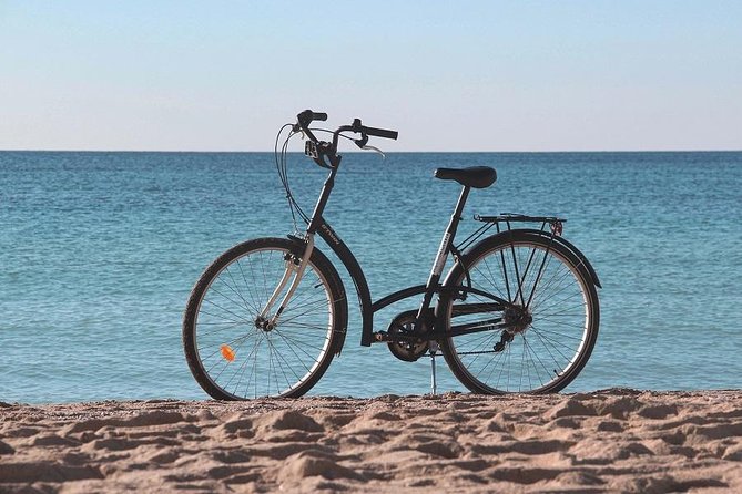Palma de Mallorca Easy Bike Tour (Small Groups) - The Route: Stop by Stop Through Palma’s Most Memorable Corners