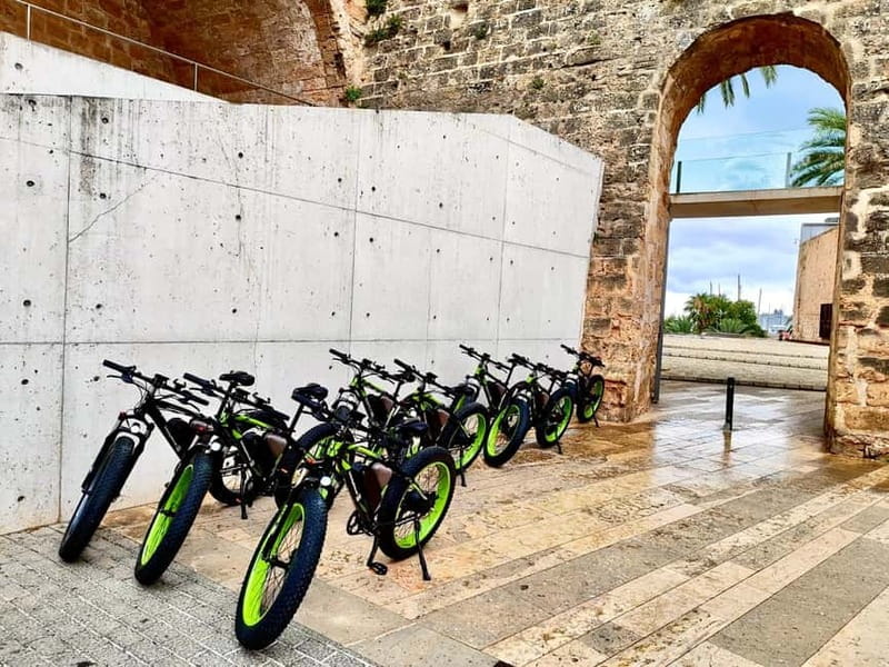 Palma de Mallorca: Exclusive Fat Tire e-Bike Rental - Key Highlights Worth Planning For