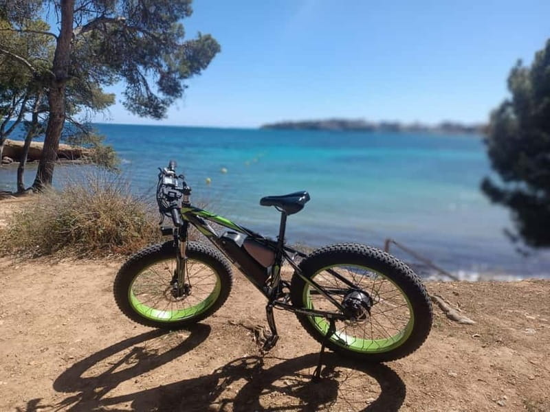 Palma de Mallorca: Exclusive Fat Tire e-Bike Rental - Market Time and Finding the Less Obvious Stops