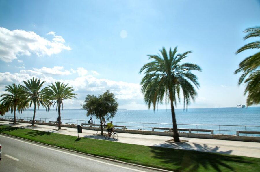 Palma de Mallorca: Full-Day Tour with Departure Options - From Alua Boccaccio to Palma, the Easy Bus Rhythm