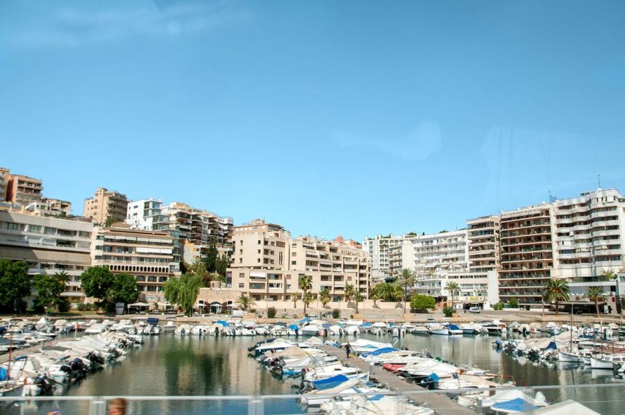 Palma de Mallorca: Full-Day Tour with Departure Options - 5.5 Hours of Free Time, How to Use It Without Wasting It