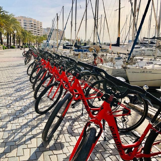 Palma de Mallorca: Guided Bicycle Tour with Tapas & a Drink - Seafront cycling toward La Seu, the fast route to big views