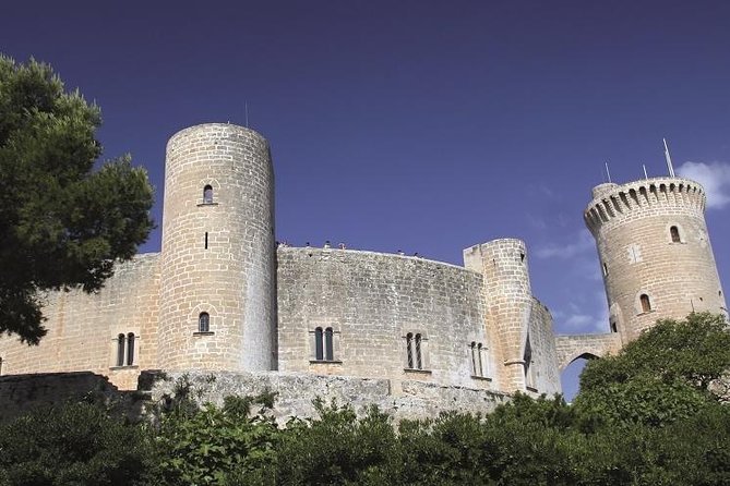 Palma de Mallorca Guided Tour with Hotel Pick up - La Seu, Palma Cathedral: plan for time, and know what’s not included