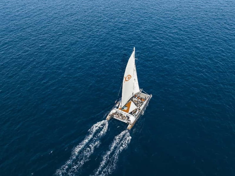 Palma de Mallorca: Half-Day Catamaran Tour with Buffet Meal - Where the Catamaran Day Starts at Golondrinas Marina