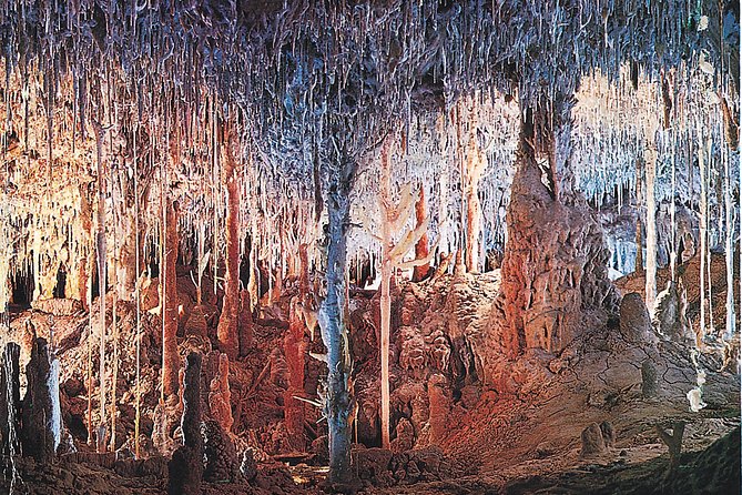 Palma de Mallorca Half-Day to Caves of Hams, Blue Cave and film - The five-hour trade: why this tour works