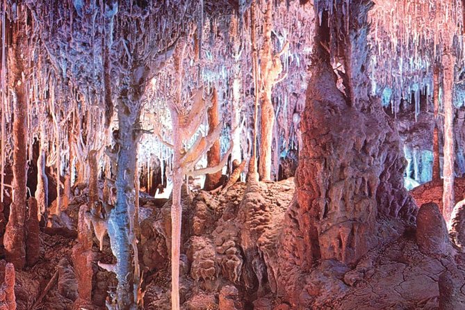 Palma de Mallorca Half-Day to Caves of Hams, Blue Cave and film - Blue Cave and classical music: how the tour stays interesting