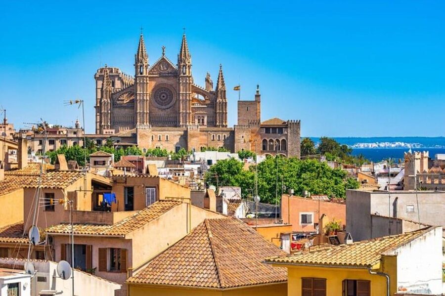 Palma de Mallorca : Must see Walking Tour With A Guide - Why this Palma 2-hour private walk feels like a shortcut