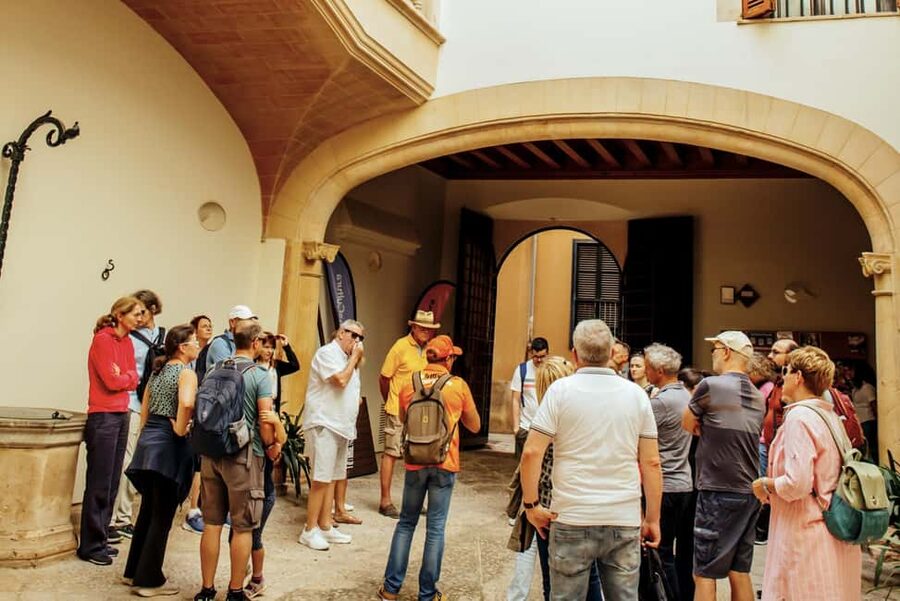 Palma de Mallorca: Old Town and Cathedral Tour - What the tour is like on the ground (pace, groups, and comfort)