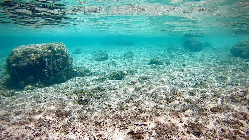 Palma de Mallorca: Private Boat Tour with Snorkel and Paddle - Price and value: what $459 for up to 6 really buys