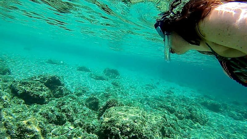 Palma de Mallorca: Private Boat Tour with Snorkel and Paddle - Punta Negra: photo stop energy, then a break from the boat