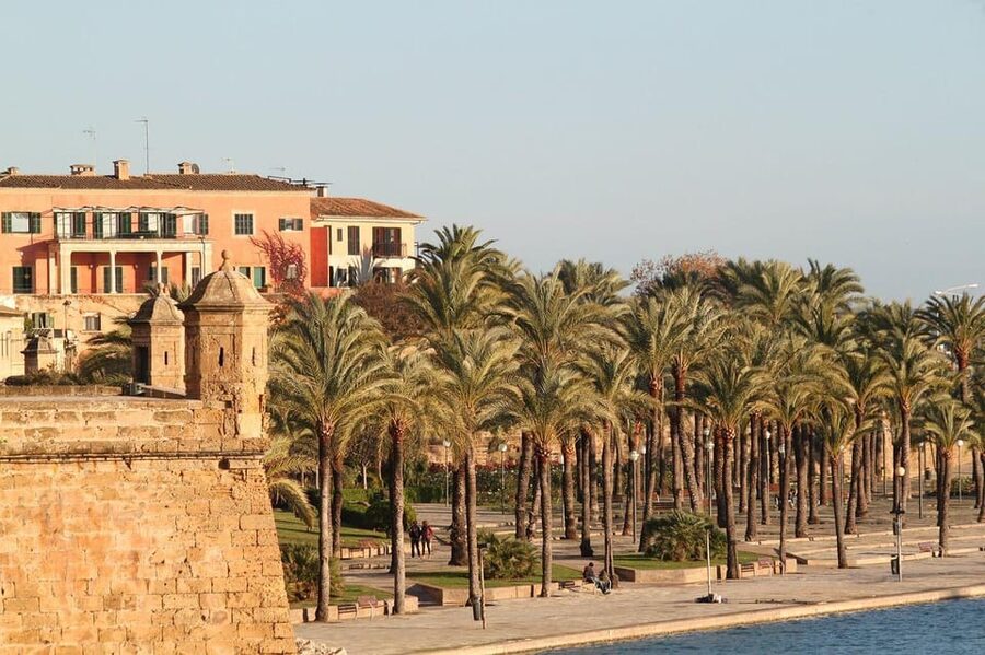Palma de Mallorca Private Guided Walking Tour - Convent of San Francisco: Gothic Architecture That Feels Local