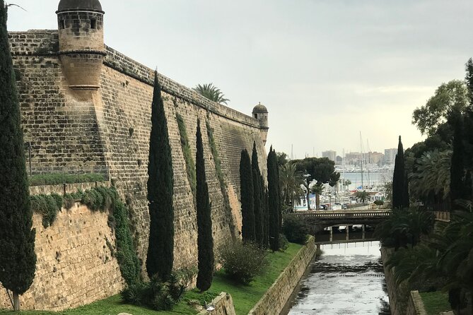 Palma de Mallorca: PRIVATE Local Food And Cathedral Experience - Who should book this private experience