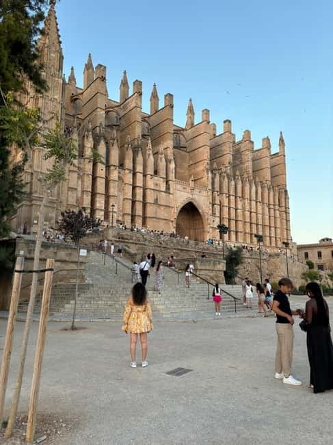 Palma de Mallorca: Private tour - Cathedral and Tapas - Ancient bakery and ensaimada, sweet stop with a twist