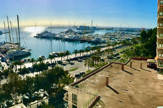 Palma de Mallorca Self-Guided Scavenger Hunt and Tour - Who this hunt suits best, including kids and evening explorers
