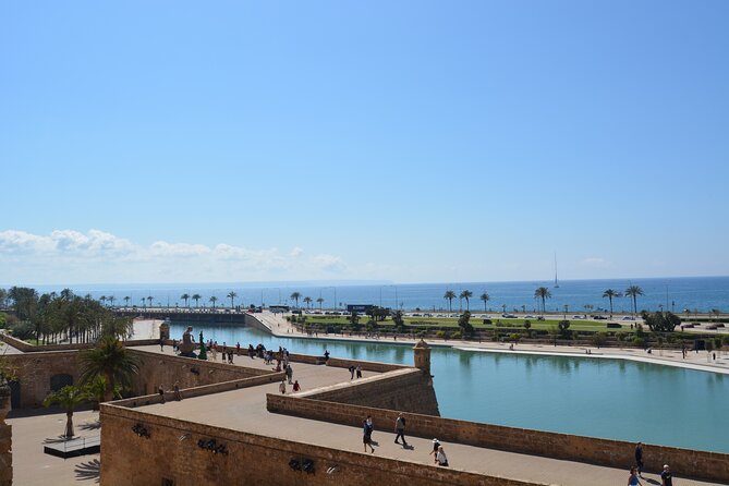 Palma de Mallorca Shore Excursion Bike Tour (Transfer Included) - E-Bikes, Crowds, and Heat: How to Make the Ride Feel Easy