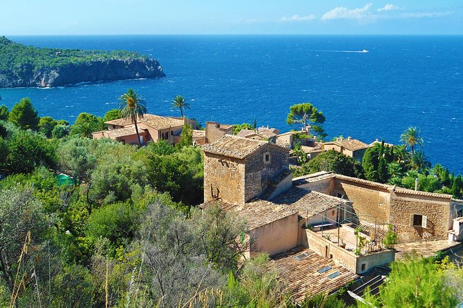 Palma de Mallorca Shore Excursion: Palma, Deia and Sa Foradada - Price and value: what $587.58 per person is really buying
