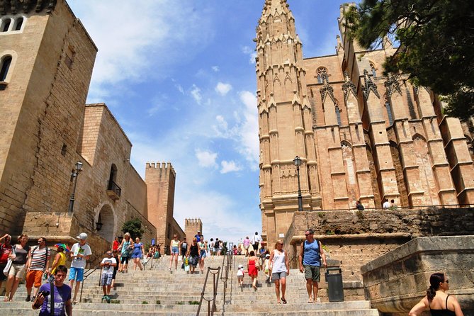 Palma de Mallorca Sightseeing Day Tour - A Planed-Right Day in Palma: Castle Views, Cathedral Sights, and Free Time