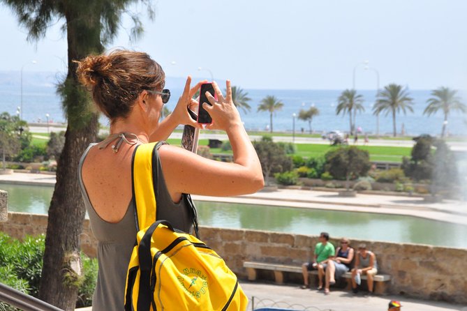Palma de Mallorca Sightseeing Day Tour - Port of Palma by Bus: La Seu, Almudaina, and the Maritime Walk