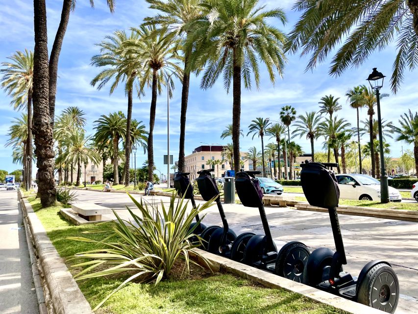 Palma de Mallorca: Sightseeing Segway Tour with Local Guide - Parc de la Mar and the Sea Breeze on the Coastal Lanes