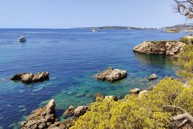 Palma de Mallorca: Small Group Tour by Locals in Hidden Coves - Key reasons to go