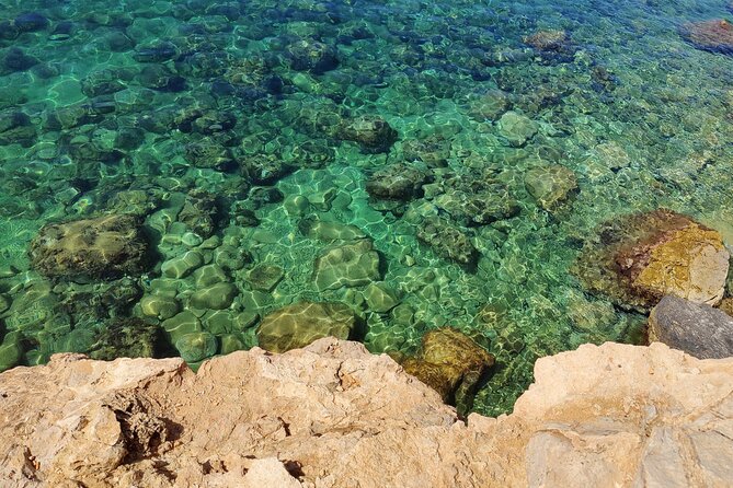 Palma de Mallorca: Small Group Tour by Locals in Hidden Coves - Small-Group Morning in Bendinat and Ses Illetes