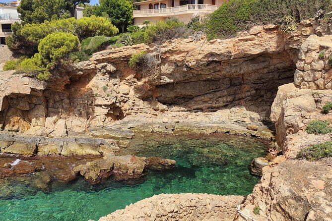 Palma de Mallorca: Small Group Tour by Locals in Hidden Coves - Ses Illetes Beach: Snorkeling Caves and the Swim Test