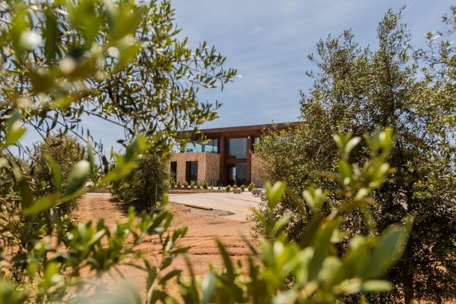 PALMA DE MALLORCA & SOLLER MIT BAHN & STADTFÜHRUNG ab Palma - FAQ