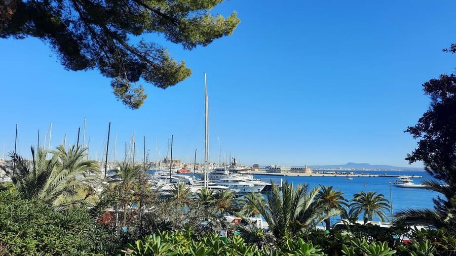 PALMA DE MALLORCA & SOLLER MIT BAHN & STADTFÜHRUNG ab Palma - Puerto de Sóller by Red Lightning tram: wooden tram fun plus sea air
