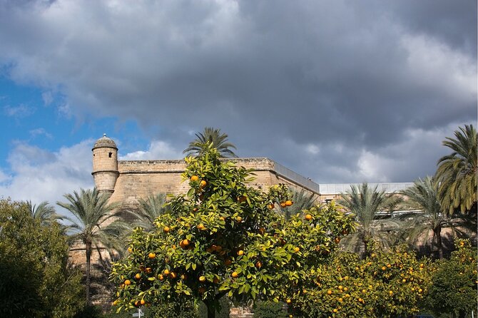 Palma de Mallorca: Walking Tour, Cathedral & Local Tasting - Lonja de Mallorca to the finish at Plaça de la Drassana: the waterfront payoff