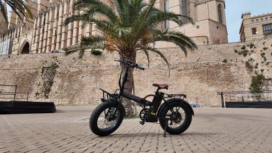 Palma: Exclusive City Highlights E-Bike Tour - Starting at Plaça de la Drassana, and getting comfortable fast