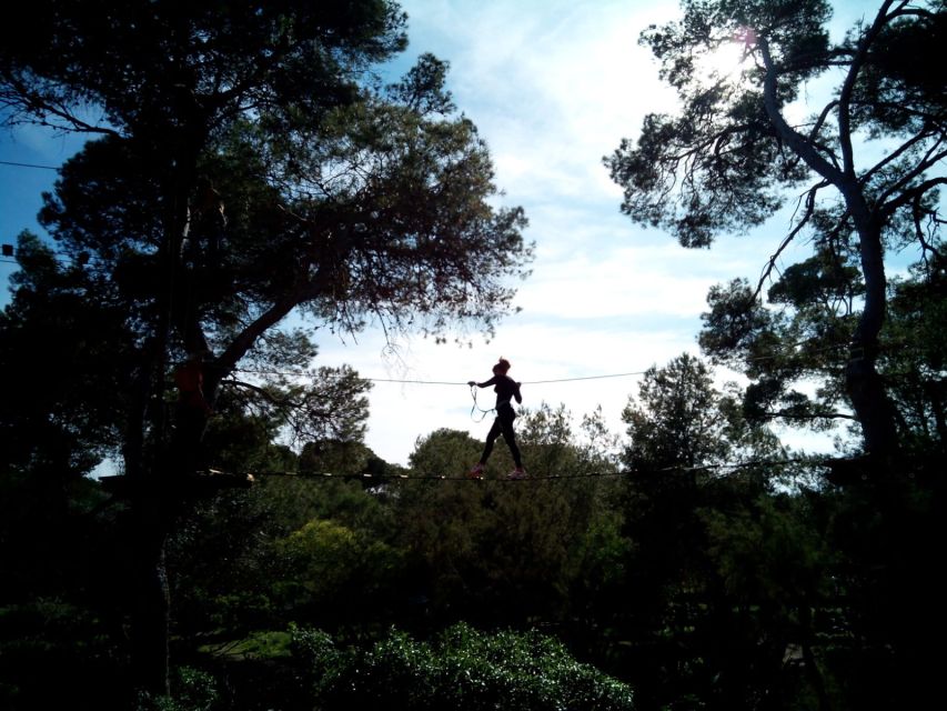 Palma: Family or Sports Course Adventure at Forestal Park - Safety briefing, harness clips, and how you get comfortable quickly