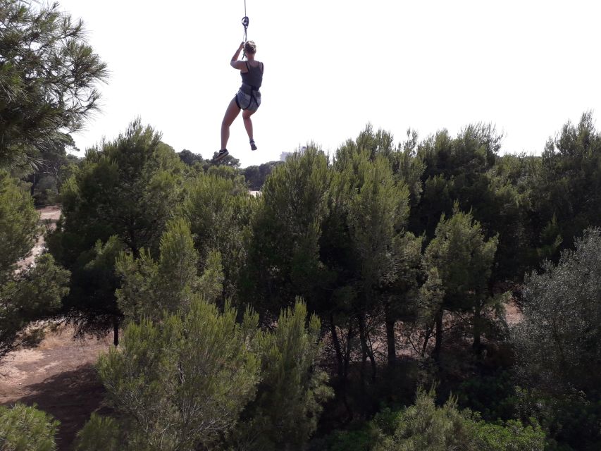 Palma: Family or Sports Course Adventure at Forestal Park - Price and value: why $31 can feel surprisingly fair