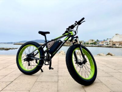 Guided City Tour with a Fat Tire E-Bike