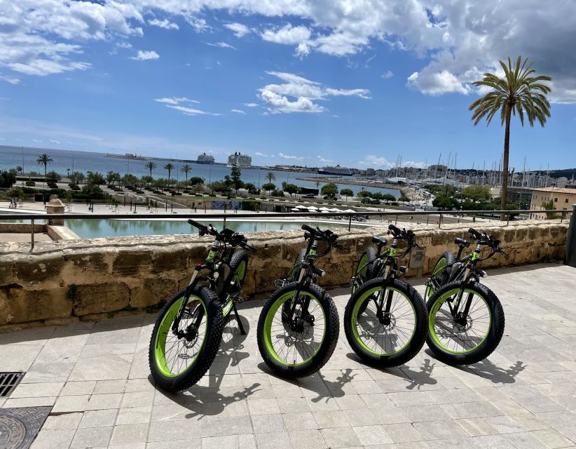 Palma: Guided City Tour with a Fat Tire E-Bike - Portixol window displays and the local food-and-craft angle