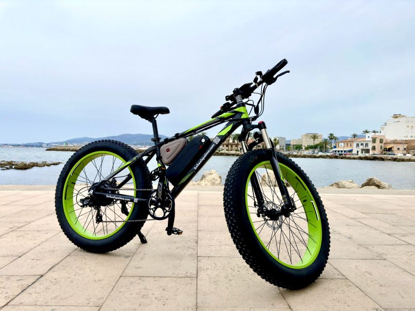 Palma: Guided City Tour with a Fat Tire E-Bike - Getting started near the Cathedral and Palace Almudaina