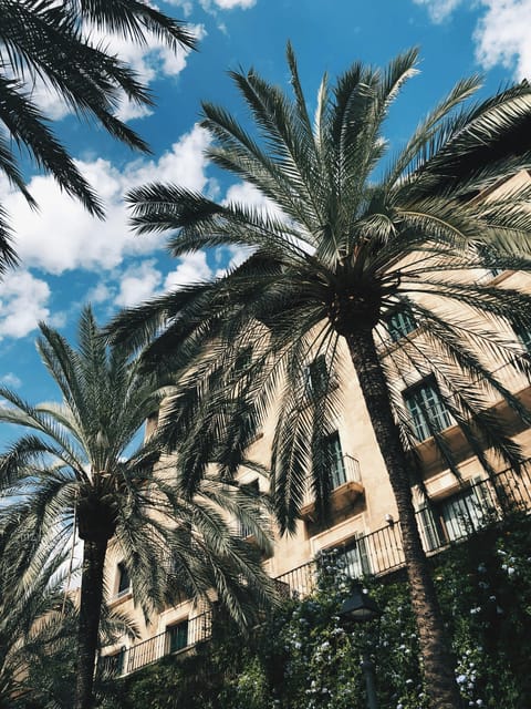 Palma: "History & Beauty" Eco-Friendly E-Scooter Tour - Key highlights at a glance