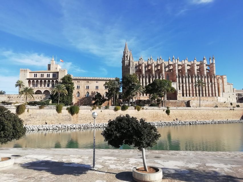 Palma old town for the first time - Palma Cathedral Up Close: Ornate Architecture With a Real-World Timeline