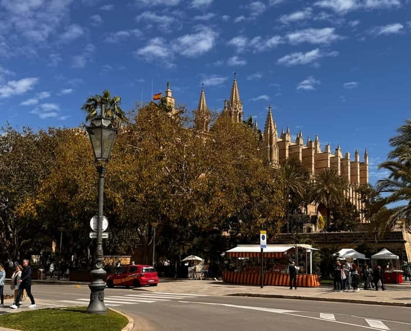 Palma Old Town Insider Tour with visit of the Cathedral - Price and Value: When $459 per Group Makes Sense