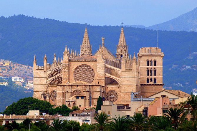 Palma old town tour with Wine & Tapas Tastings - The guided route: cathedral area, artist quarter, and key squares