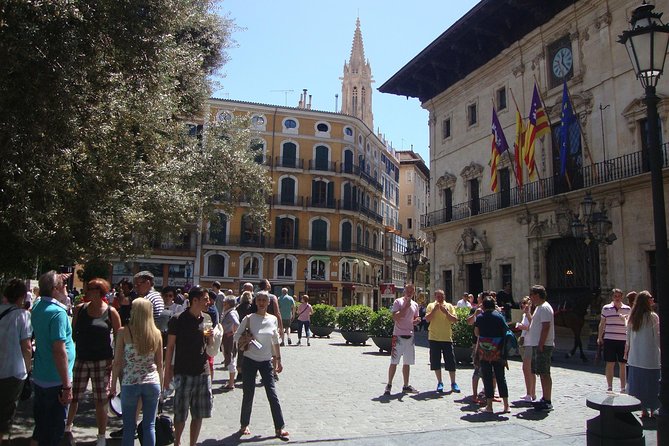 Palma old town tour with Wine & Tapas Tastings - The guides: what you can learn from past departures