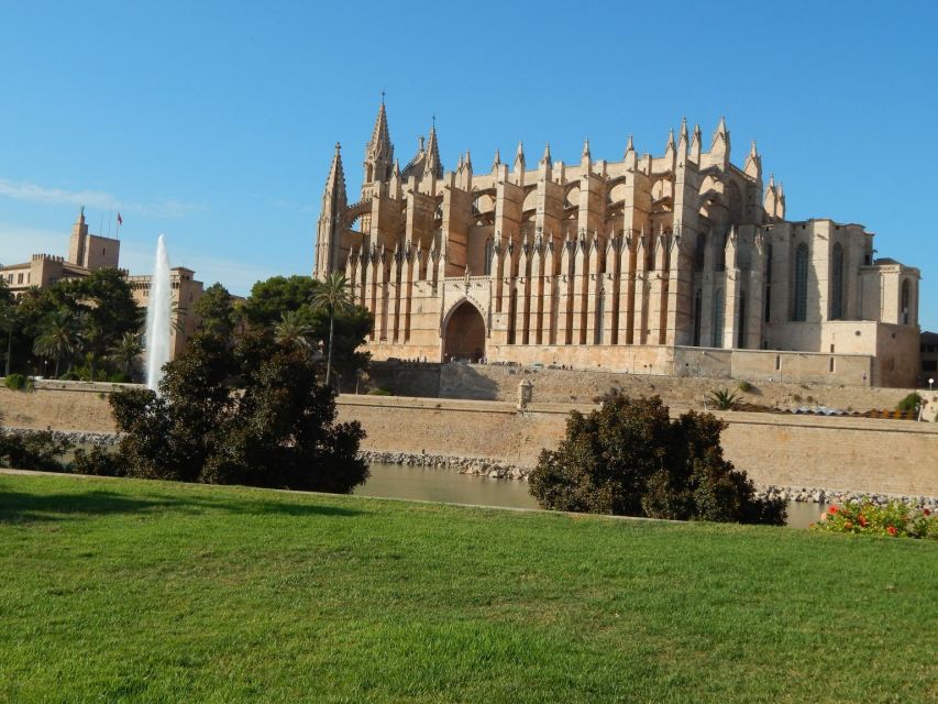 Palma: Old Town Walking Tour & Cathedral Skip-the-Line - Price and value: what $50 gets you in real terms
