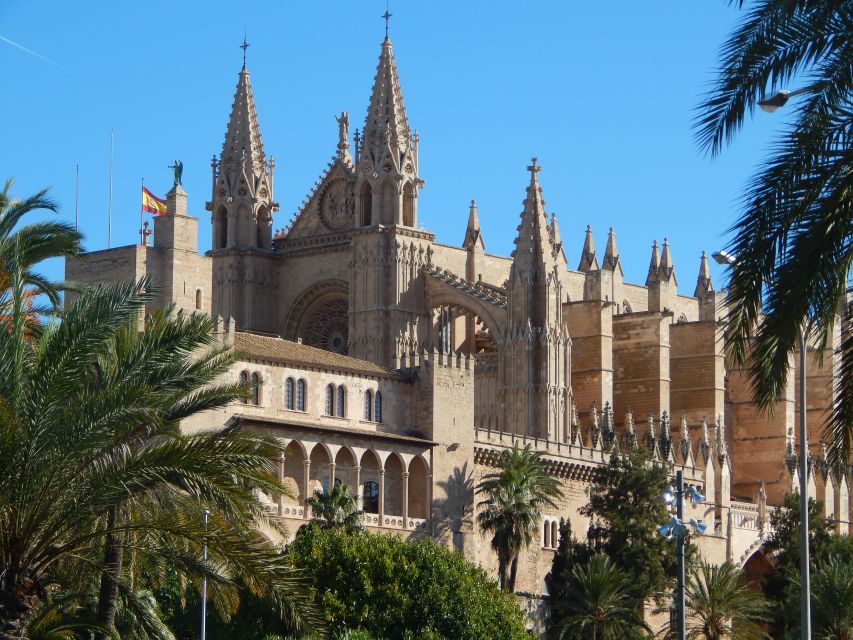 Palma: Old Town Walking Tour & Cathedral Skip-the-Line - Timing, pace, and what to pack for a 2.5 hour walk