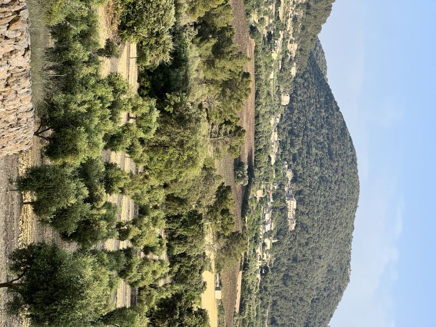 Palma: Orange Valley Vintage Train and Orange Farm Tour - Palma to Sóller on the vintage train: slow views through the Serra de Tramuntana