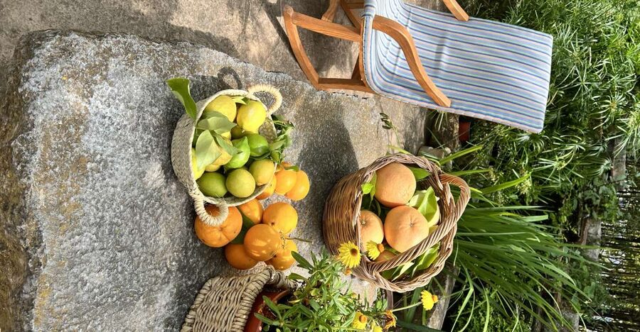 Palma: Orange Valley Vintage Train and Orange Farm Tour - Picnic with fresh orange juice and local Mallorcan treats