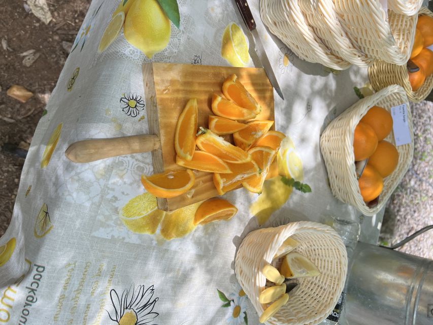 Palma: Orange Valley Vintage Train and Orange Farm Tour - Practical tips so you enjoy every leg