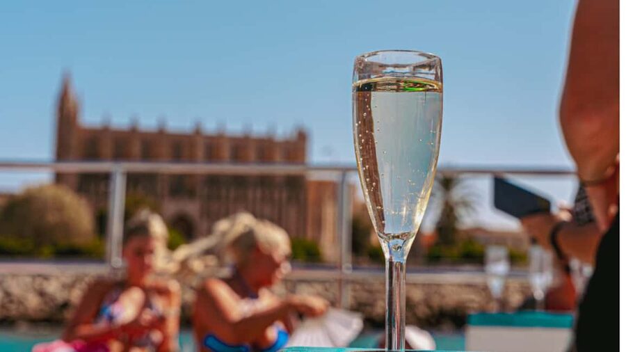 Palma: Punta Negra and Ses Illetes Boat Trip with Live Music - Practical Tips Before You Meet at Palma Port
