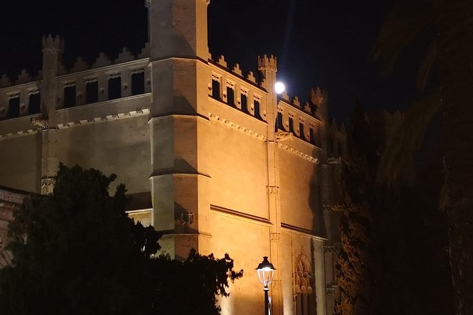 Palma's nightly charm and delicious local snacks - Gothic cathedral and Almudaina Palace, seen from the right angle