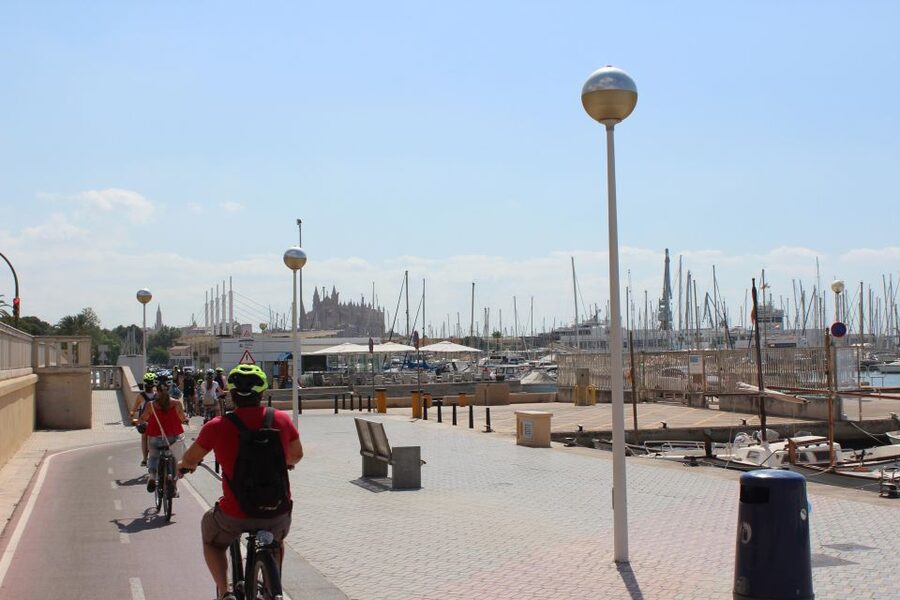 Palma Shore Excursion Bike Tour (Transfer Included) - The one-hour break at Plaça del Rosari, 4