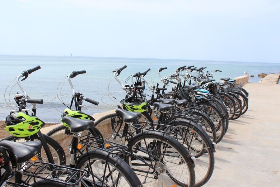 Palma Shore Excursion Bike Tour (Transfer Included) - Lonja de Mallorca and the famous spiral columns