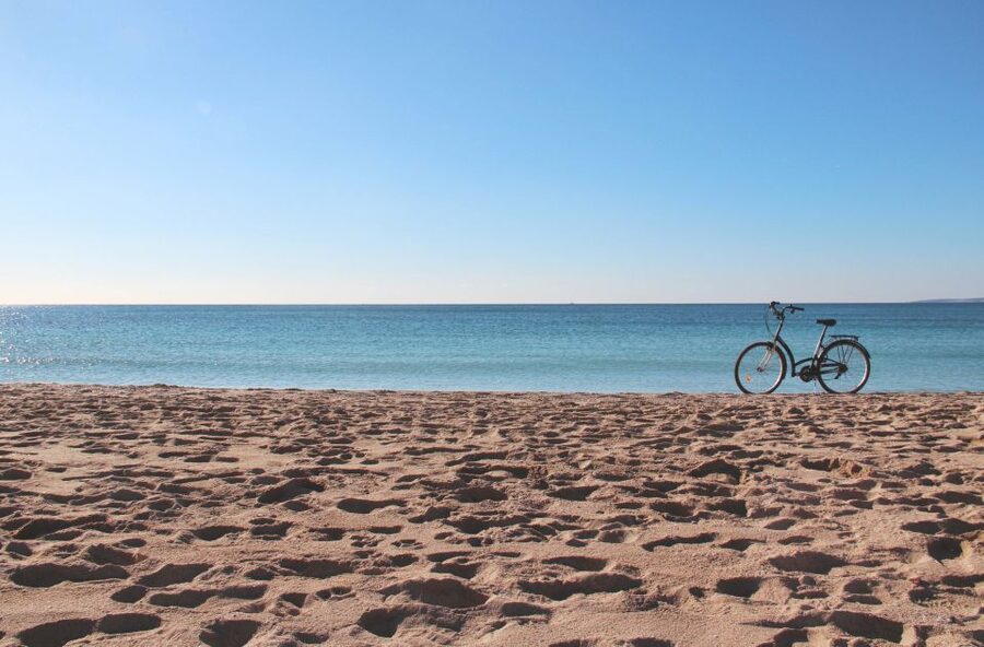 Palma Shore Excursion Bike Tour (Transfer Included) - Parc de la Mar and Palma Bay: the scenery break you’ll feel